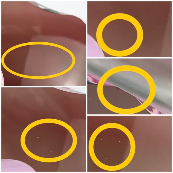 Perthshire 1987C Theobroma Cacao Flower Scallop Faceted Lampwork Paperweight COA - Picture 15 of 16